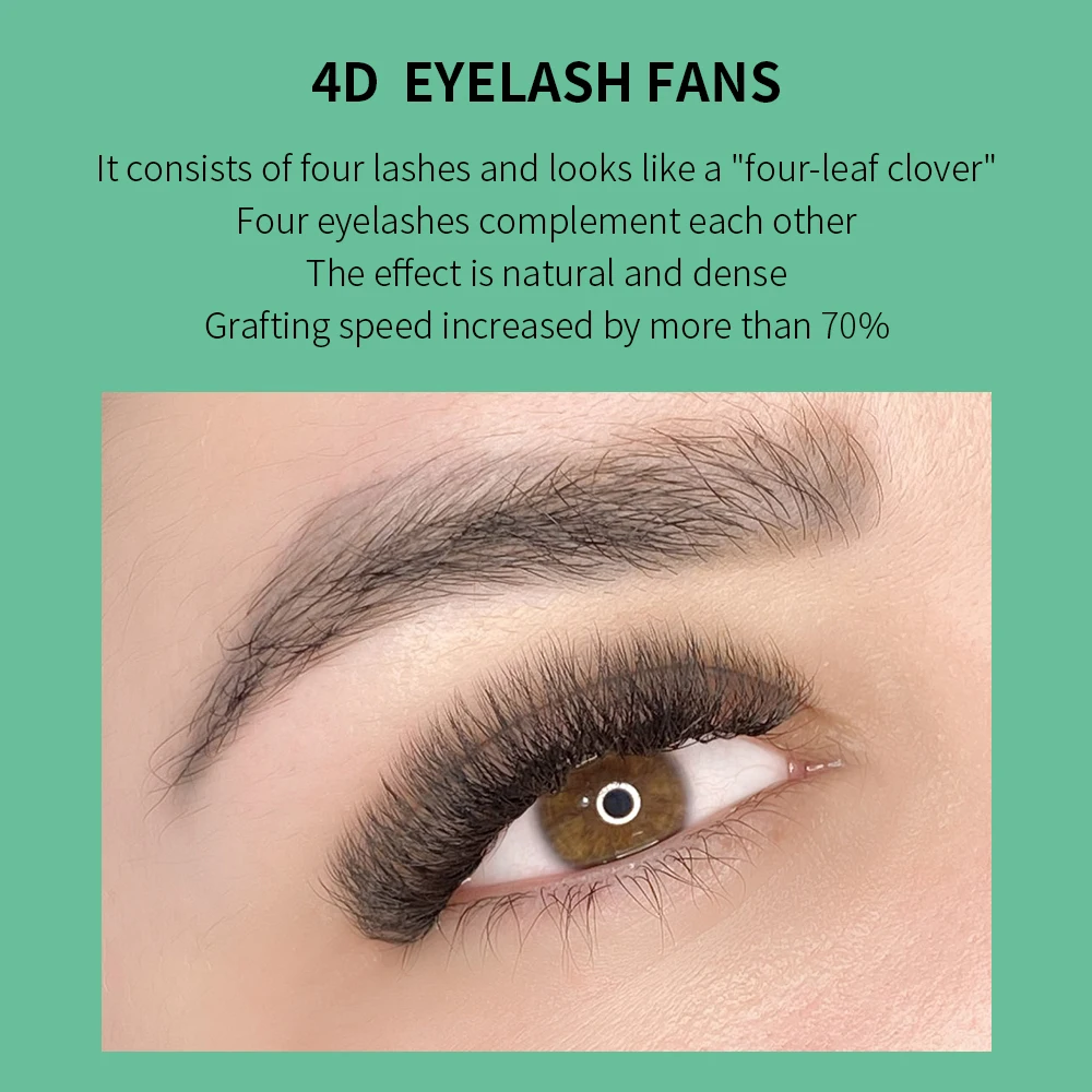 GLAMLASH 4D W Shape Eyelash Ex - Eyelash Extension Volume Styles 评论和价格