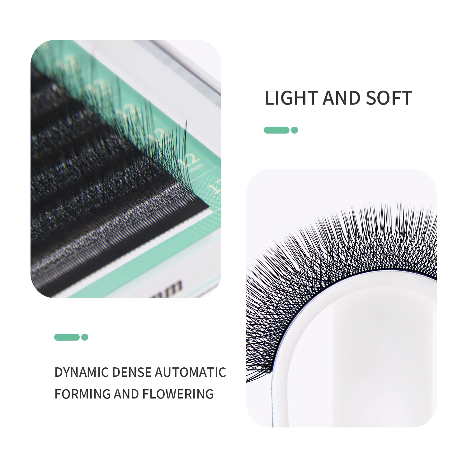 GLAMLASH 4D W Shape Eyelash Ex - Eyelash Extension Volume Styles 评论和价格