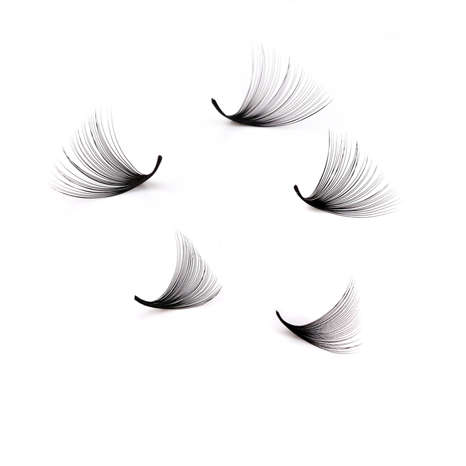 Lashprofessor XL Tray 3D 4D 5D - Mega Volume Lash 评论和价格