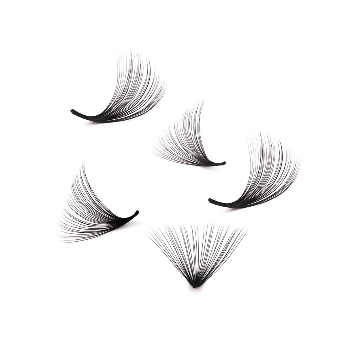 Aguud 2500 Fans Loose Fans Poi - Mega Volume Lash 评论和价格
