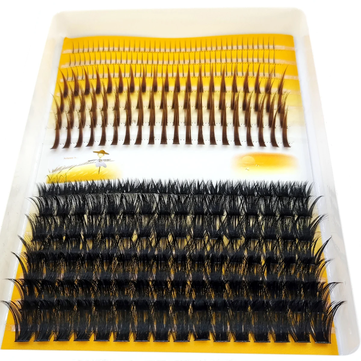 AMSDCN 60D-120D eyelash cluste - Eyelash Extension Doll Eye 评论和价格