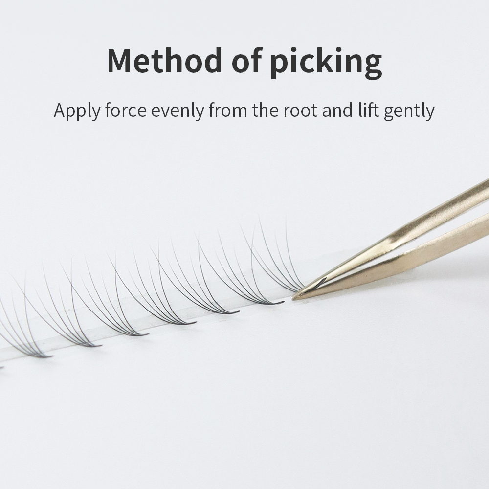 GLAMLASH Premade Volume Fan Ey - Mega Volume Lash 评论和价格