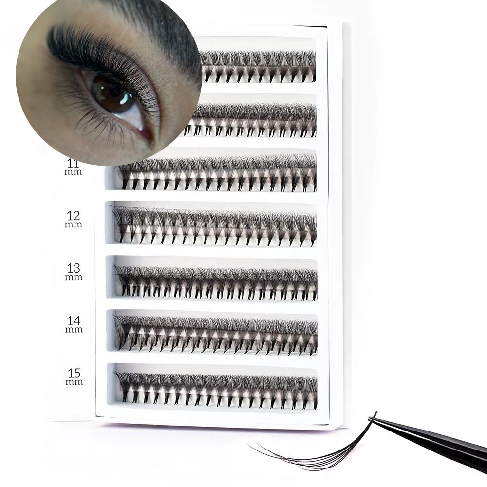 1600 Fans 0.05 Handmade 8-30D  - Mega Volume Lash 评论和价格